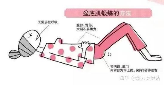 盆底肌的训练方法