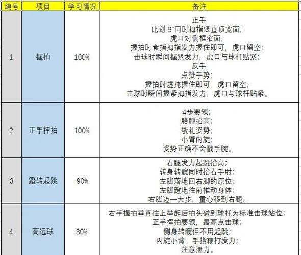 羽毛球速成截图1