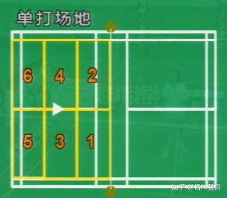 羽毛球速成截图3