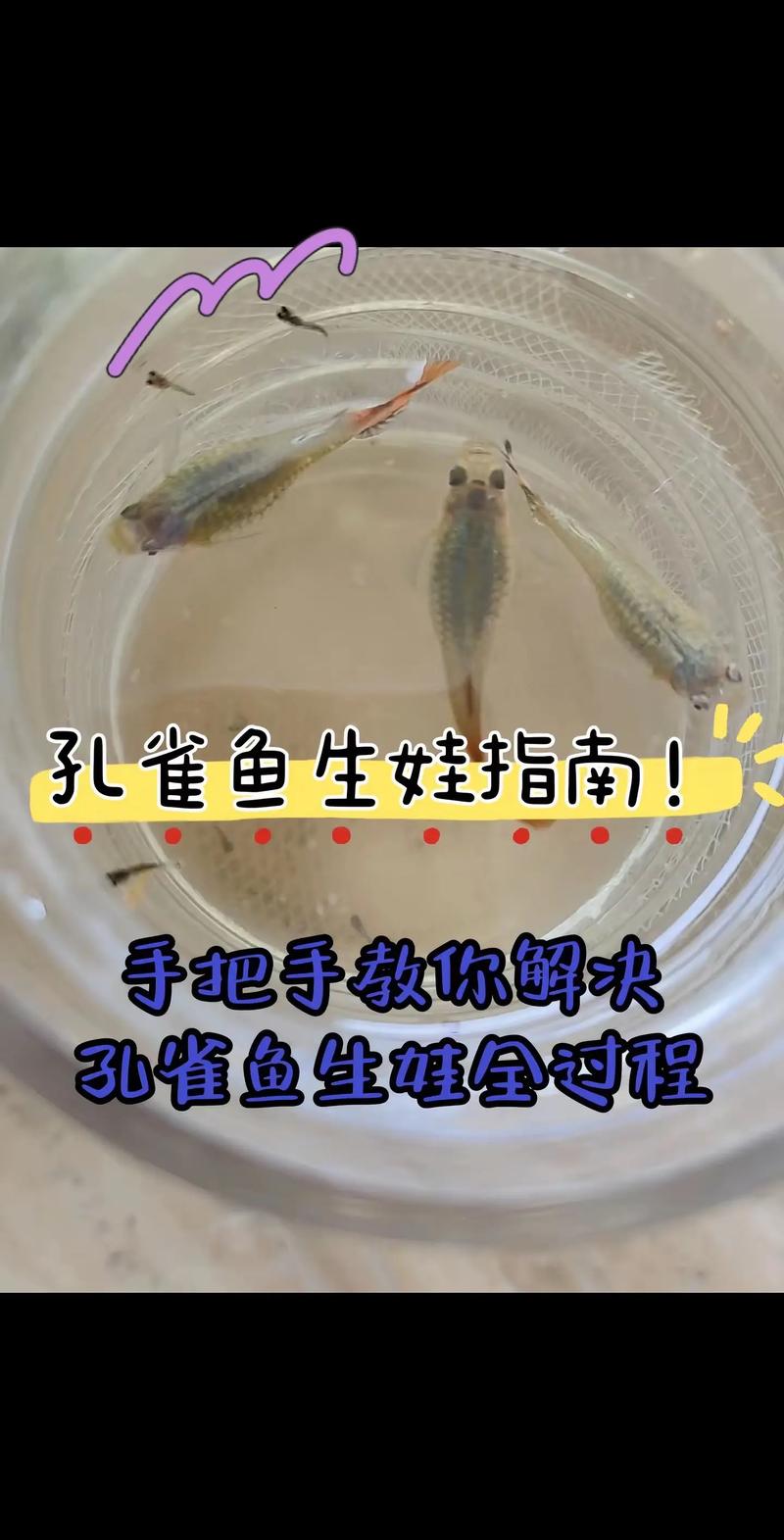 鱼打桩一般多长时间