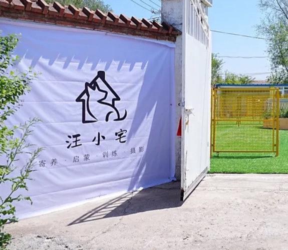 狗狗训练基地怎么收费