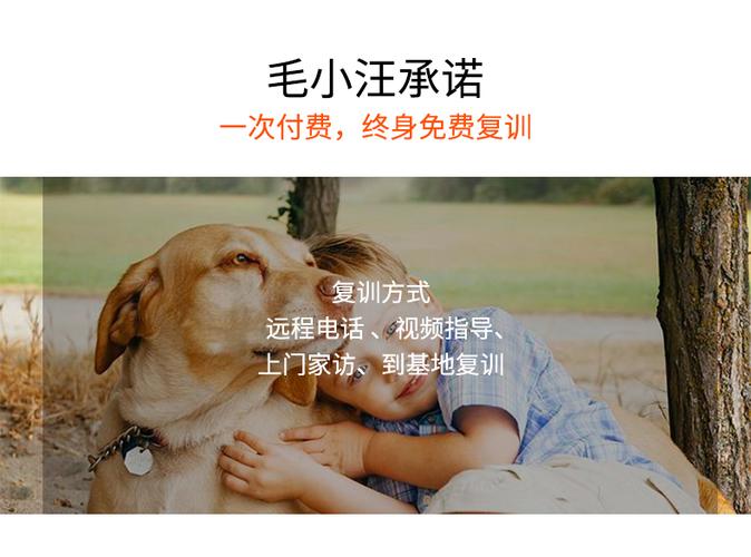 狗狗训练基地怎么收费截图2