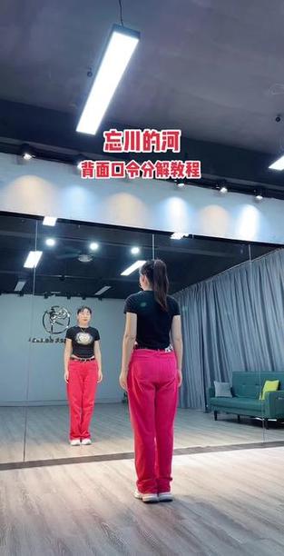 糖豆广场舞教学视频截图2