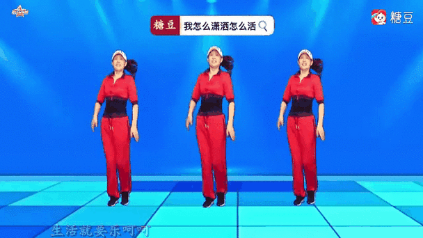 糖豆广场舞教学视频截图3