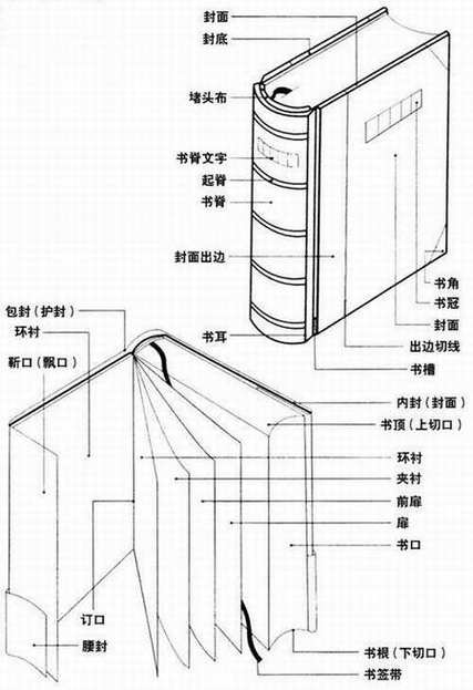 封面扉页什么意思