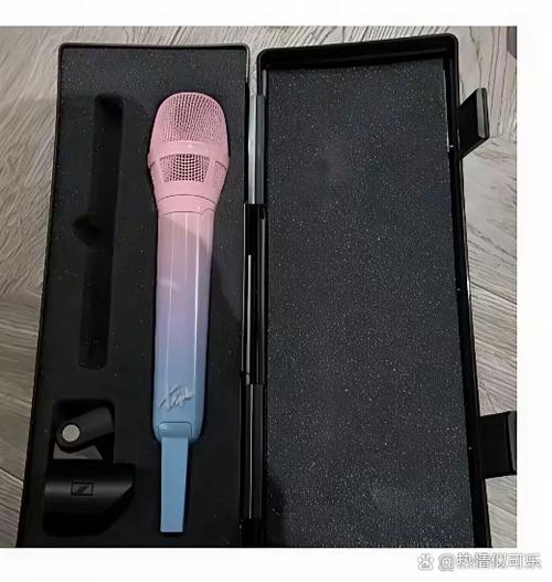 好的麦克风多少钱一个截图2