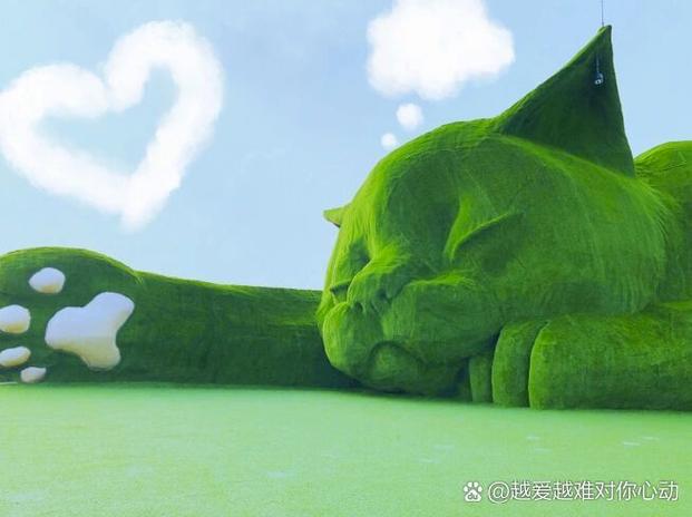 皮特托小绿人