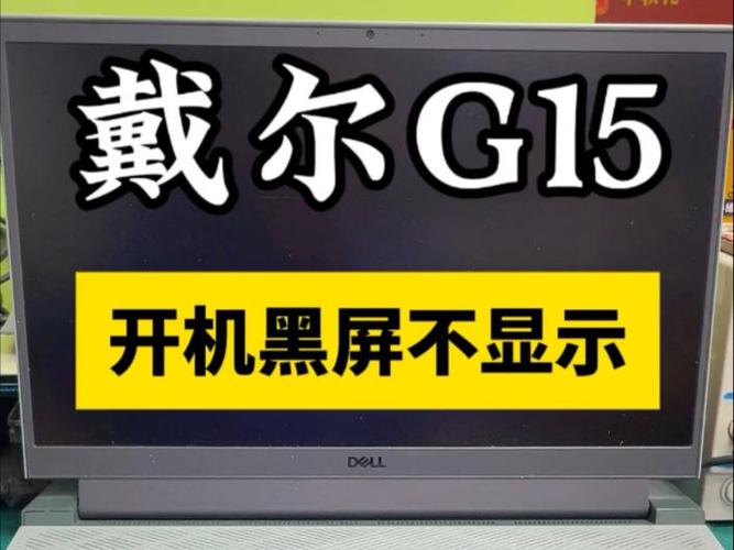 戴尔g15开不了机一直黑屏截图3
