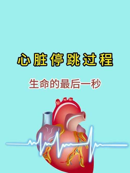 心脏不停的跳动是什么原因截图2