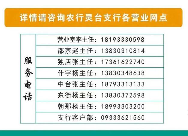 现用分期客服电话截图1