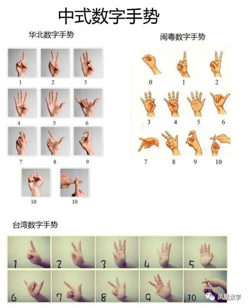 正确区分左右手图片