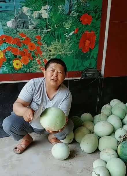 西瓜老旧版本大全