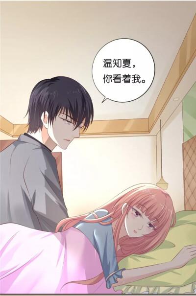 烈爱知夏的主要内容