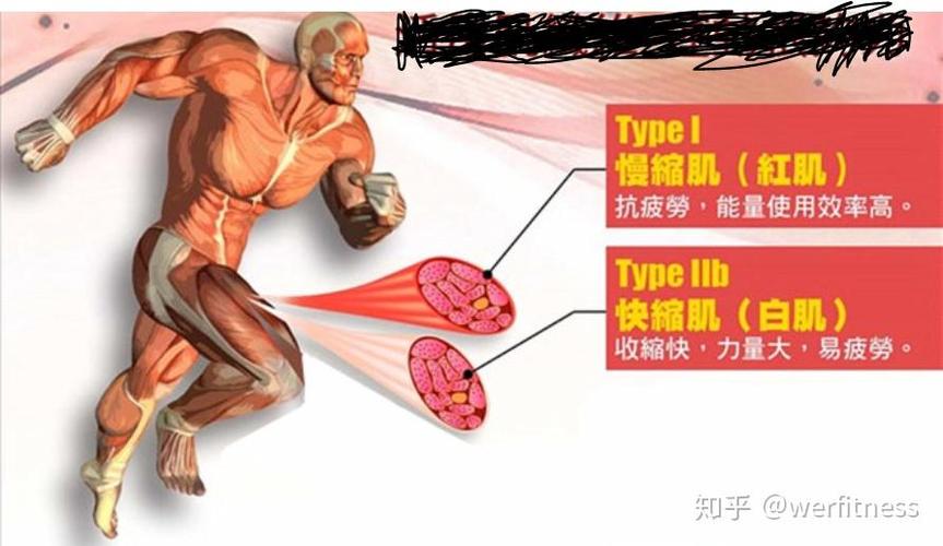 皮肤如何快速变白