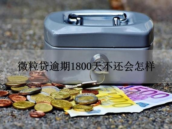 微粒贷贷款不还会怎样截图2