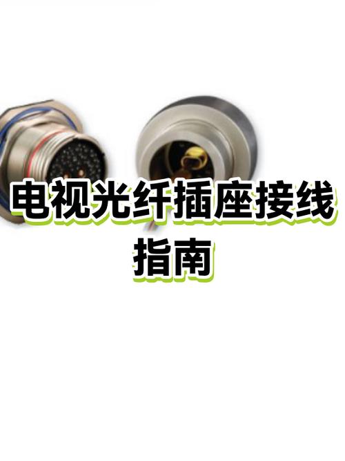 网络电视插头怎么插图标