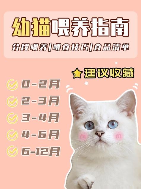 猫咪饮食禁忌 猫咪饮食禁忌