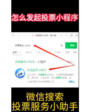 如何查看钉钉群投票