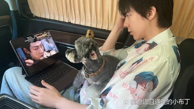 免费追剧电视剧大全追剧狗截图1
