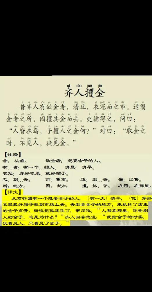 齐人攫金道理