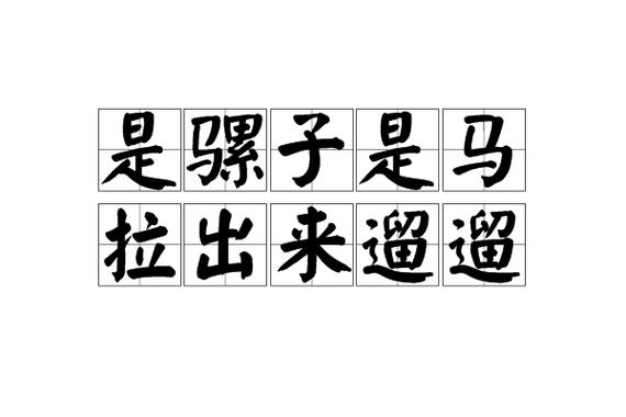 方言溜溜什么意思截图1