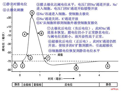 医学基础知识题库