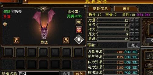 天龙八部附体打造 天龙八部附体打造