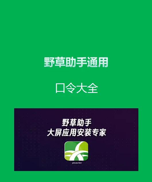 野草口令生成器下载 野草口令生成器下载