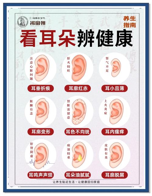 耳朵疼是什么原因