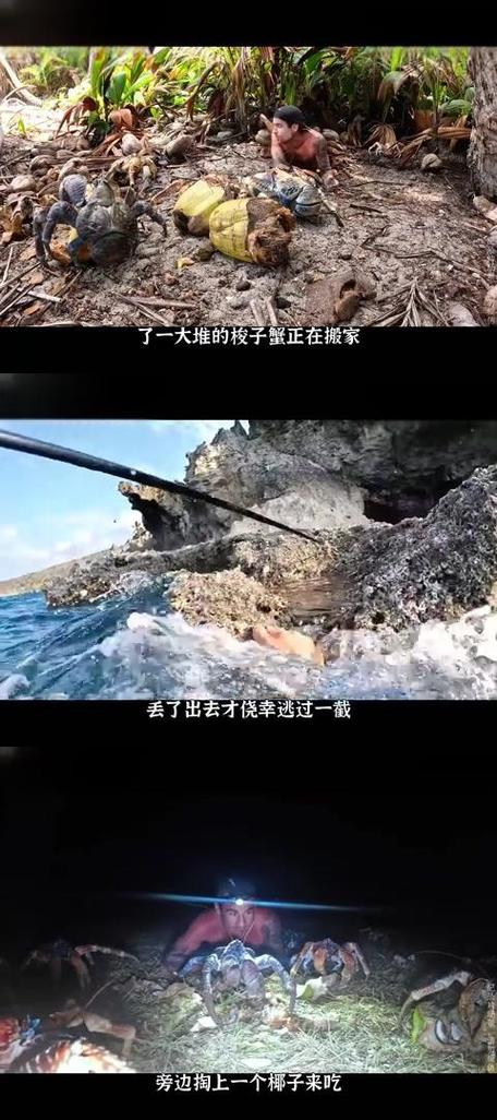 荒岛生存类游戏推荐