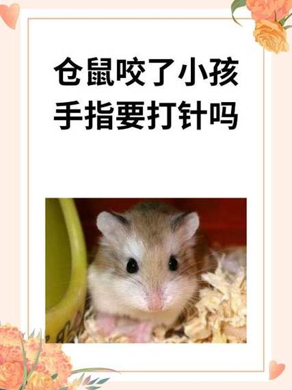 小仓鼠咬了怎么办 小仓鼠咬了怎么办