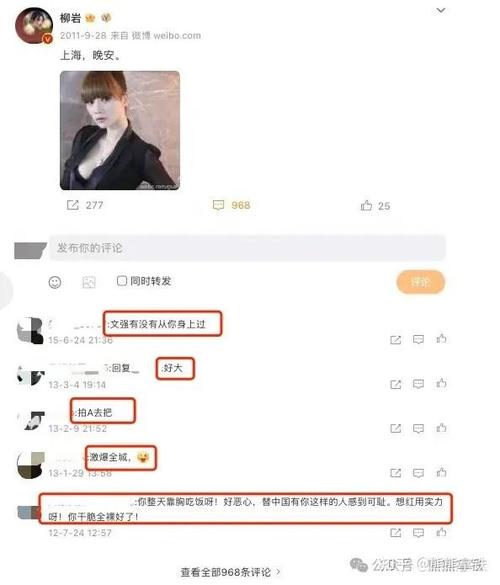 如何评价柳岩