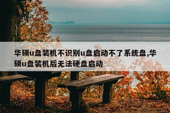 华硕主板 启动项找不到硬盘启动截图2