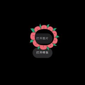 泼辣修图二维码无法导入