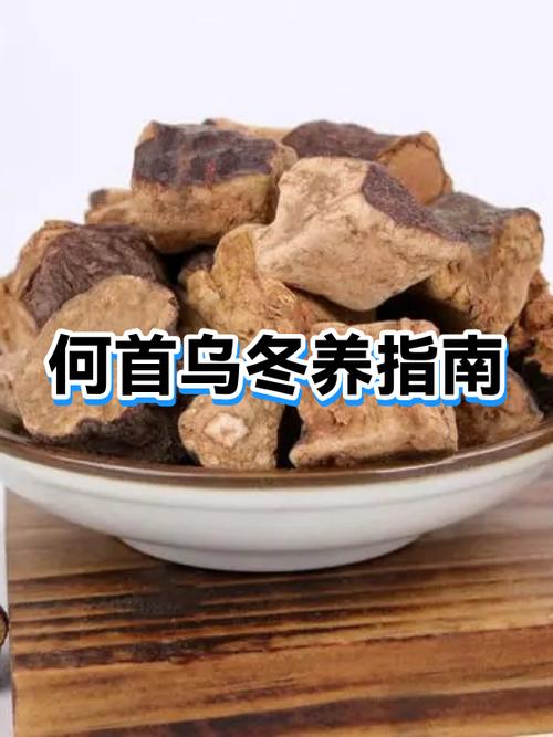 何首乌耐寒多少度