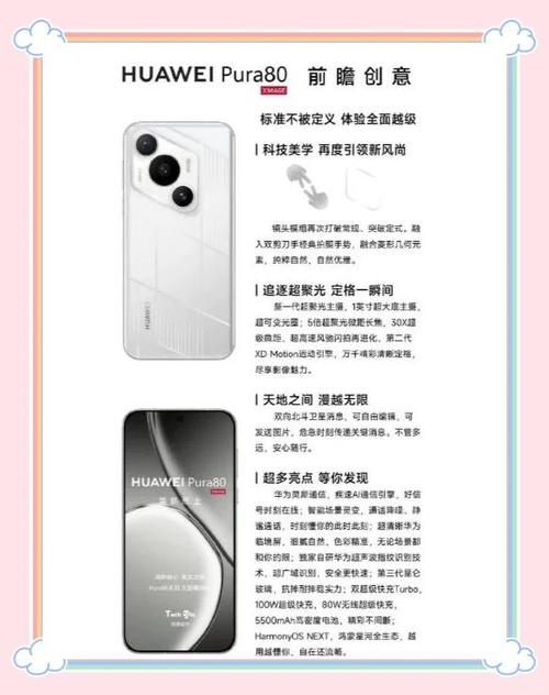 p80什么时候上市的
