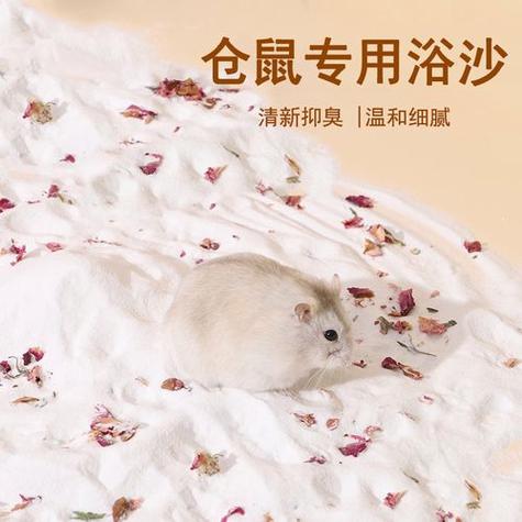仓鼠吃浴沙
