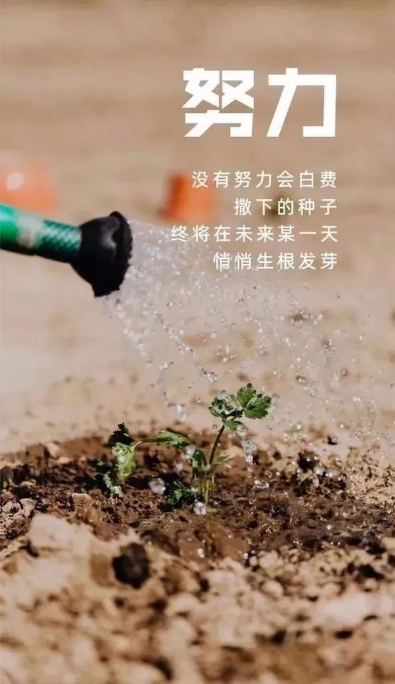 励志的句子 正能量