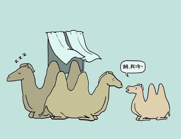 漫画哈哈 漫画哈哈