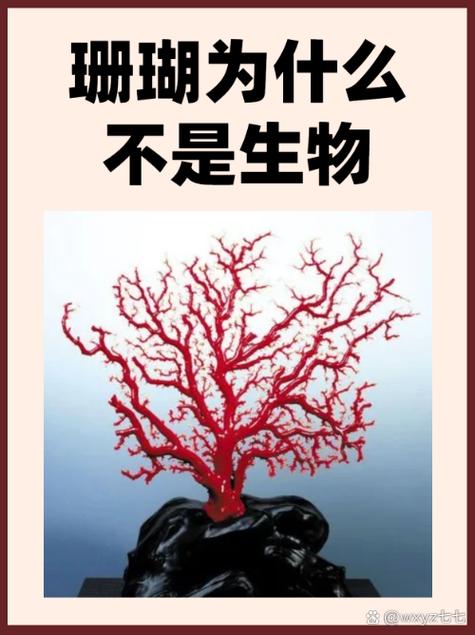 珊瑚到底是不是生物 珊瑚到底是不是生物