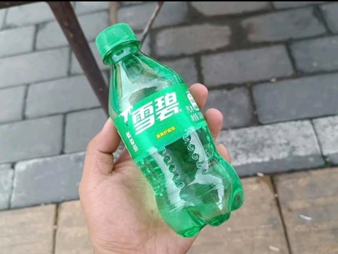 柠檬汽是什么意思