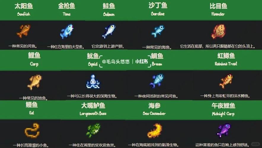 星露谷物语鱼截图3