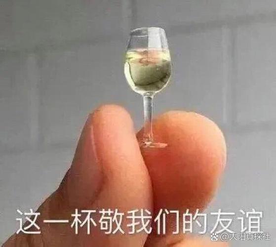 敬你一杯表情包