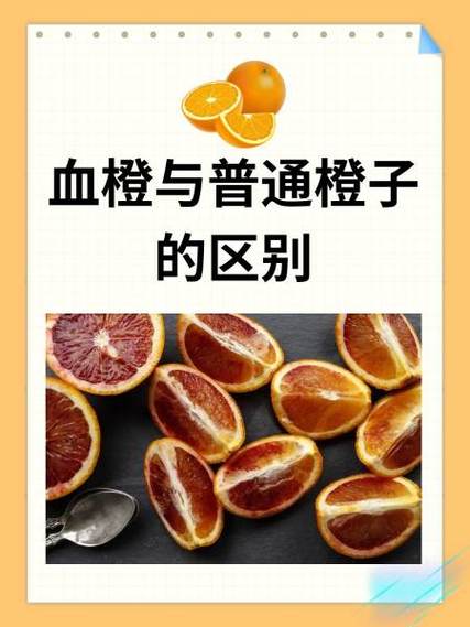 血橙和普通橙子的区别图标