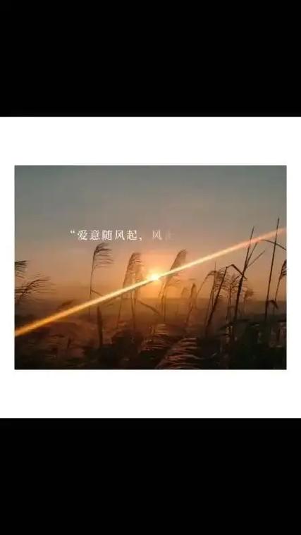 见面的句子唯美短句 见面的句子唯美短句