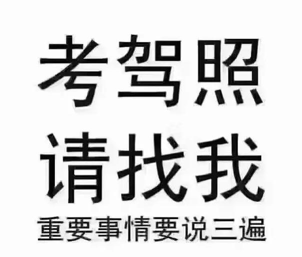 考驾照截图2