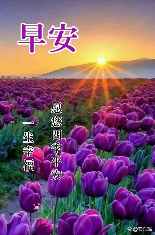高情商回复男人说想你了