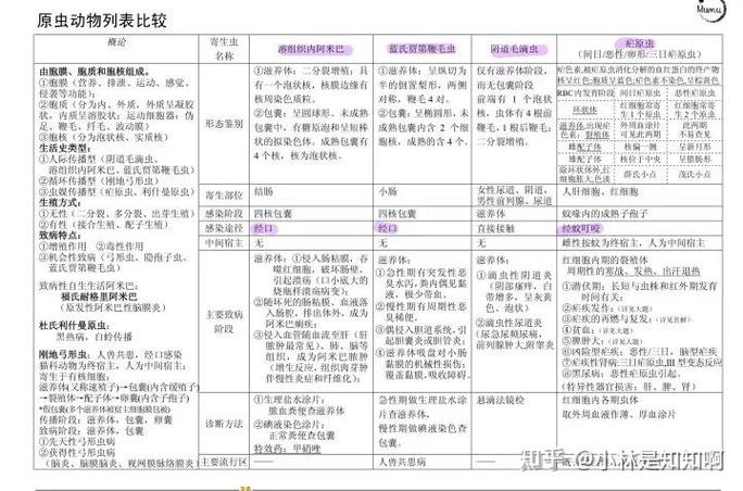 知识清单和学霸笔记哪个好用