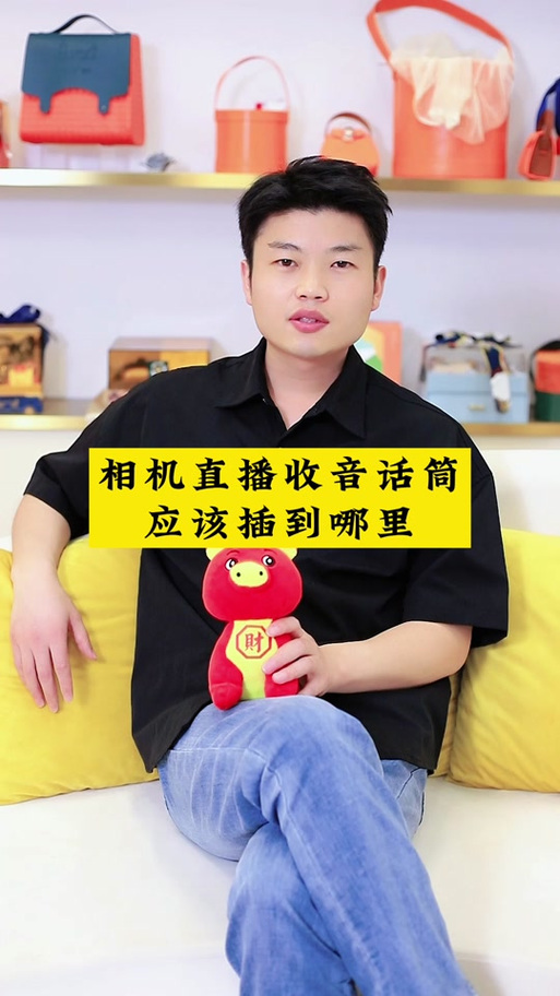 小米摄像头声音小怎么设置