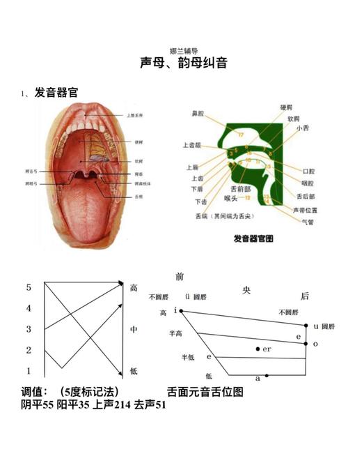 Alipay正确发音截图1